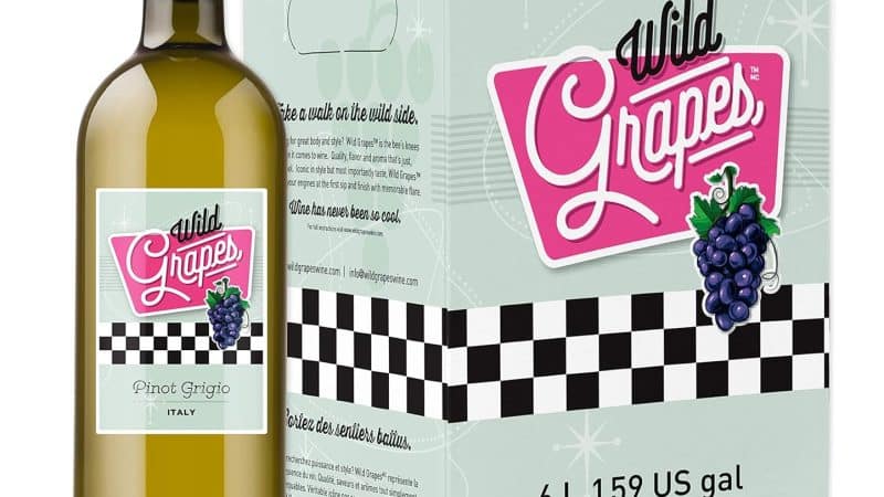 Wild Grapes Premium DIY Wine Making Kit – Italian Pinot Grigio: A Review